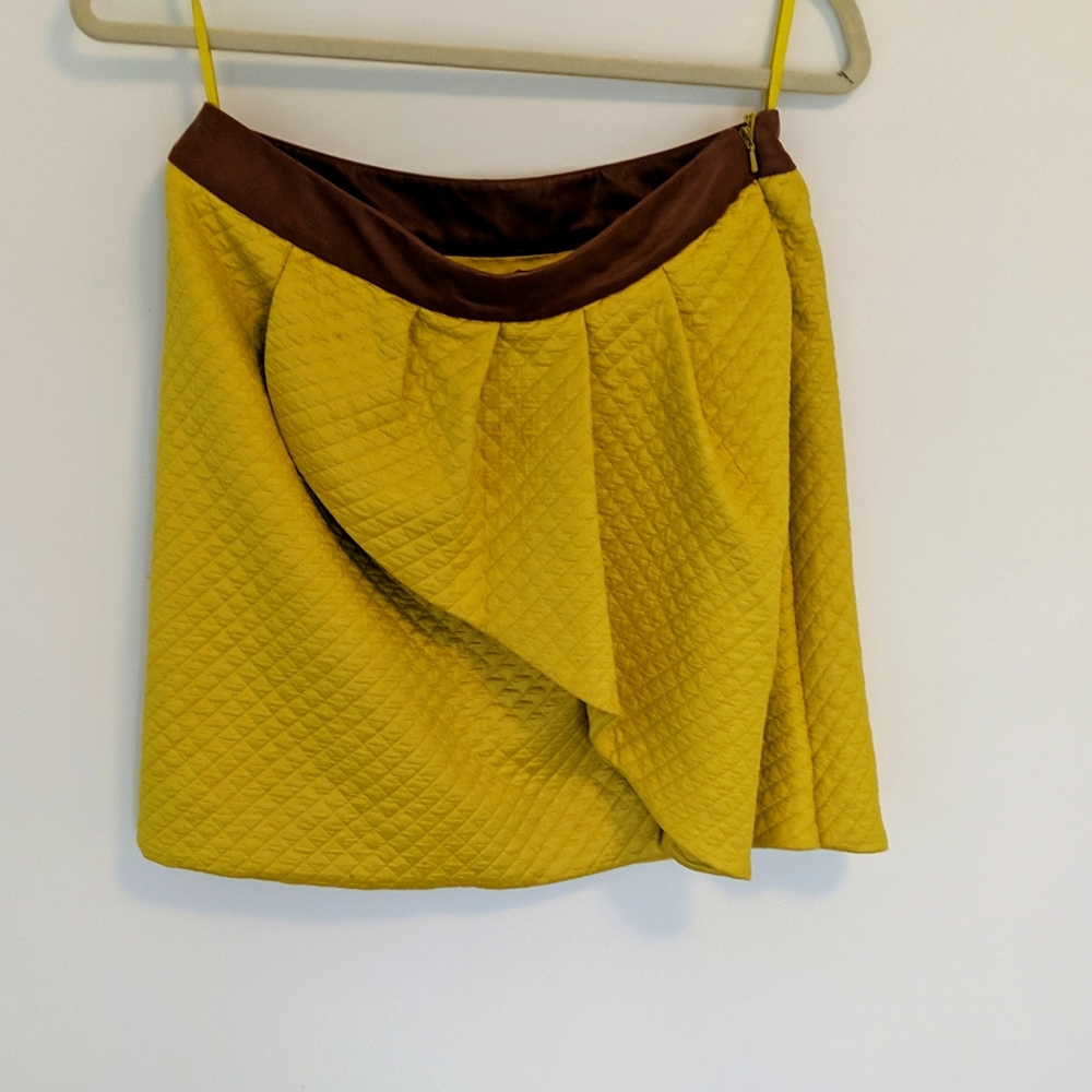 HD in Paris Anthropologie skirt size 6